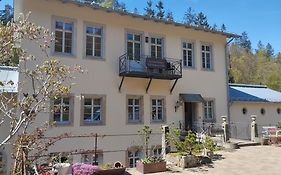 Luxuriöse FeWohnung Felsenblick